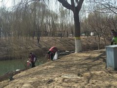 -大兴滨河森林公园