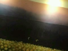 -厦门泰谷酒店(中山路镇海路地铁站店)