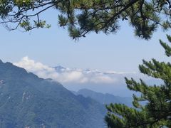 -西安祥峪森林公园