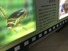 -上海昆虫博物馆