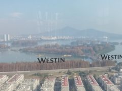 -湖景知味西餐厅•自助餐• 轻食(南京金茂威斯汀大酒店)