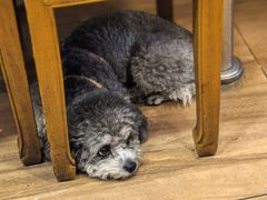 -三鞭一花·独一处·元英砂锅(海光寺店)