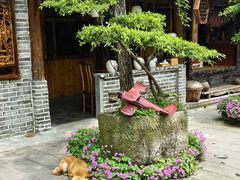 -青城甲(青城山店)