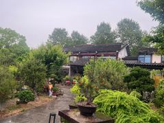 -万景茶庄·台州菜
