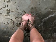 -碧水湾温泉