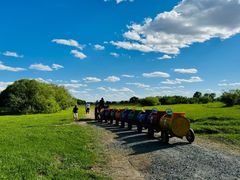 -塞罕坝国家级自然保护区