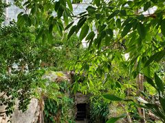 -北京植物园-展览温室