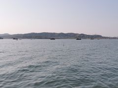 -柳浪闻莺公园