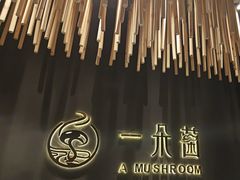-一朵菌·野生菌探索家火锅(南亚店)