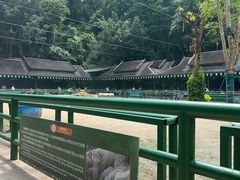 -野象谷景区