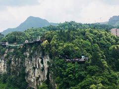-梦幻奥陶纪景区