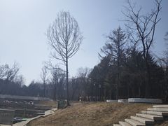 -沈阳植物园