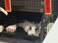 -Dole都乐水果直营