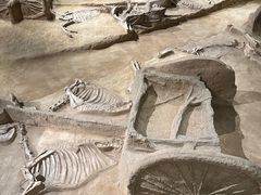 -洛阳周王城天子驾六博物馆