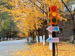 -长白岛森林公园