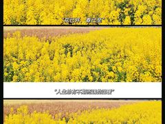 -中国天府农业博览园