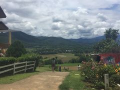 -黄色小屋