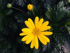 -九芝斋(解放路店)