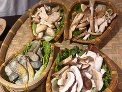 -滇野云南野生菌餐厅(陕西南路店)