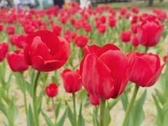 -朝阳公园