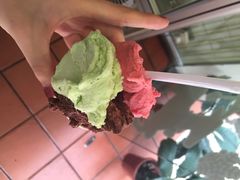 柠檬车露(大堂巷店)-柠檬车露(卖草地店)