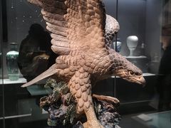 -景德镇中国陶瓷博物馆