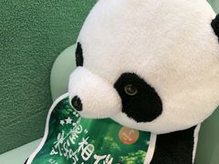 -眉州东坡·熊猫主题餐厅(枫蓝店)