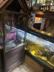-日月刺青工作室·高端纹身