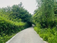 -白马涧龙池景区