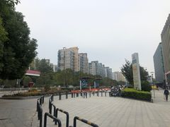 -紫荆广场·花漫里