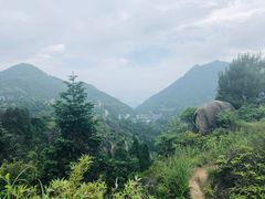 -大罗山风景区