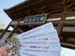 -金龙寺国家森林公园