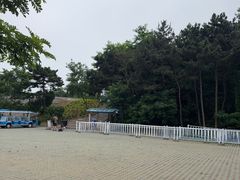 -棒棰岛宾馆景区