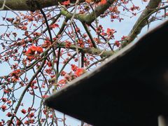 -喜洲吧·江畔老船厂·庭院餐厅(喜临院店)
