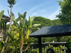 -明谷行馆·温泉