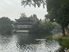 -荔湾湖公园
