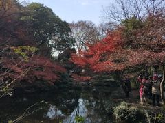 -秋霞圃
