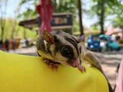 -北京野生动物园