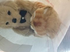 -纪念日百货(江西南昌店)