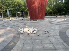 -南宫五洲植物乐园