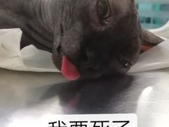 -左岸国际电影城(泉汇购物广场店)