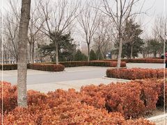 -东郊湿地公园