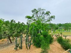 -东莞植物园