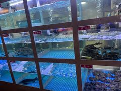 -石锅苗苗鱼(武汉首店)