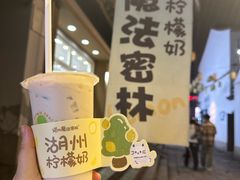 -猫的魔法密林(衣裳街店)