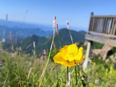 -白草畔自然风景区