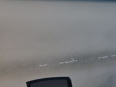 -瑞派紫金宠物医院24小时·骨科·中兽医·重症转诊中心(番禺大石院)