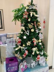 -紫洁俪方（北京）医疗美容