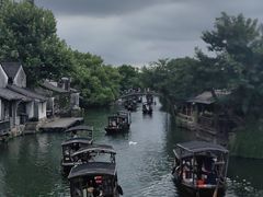 -滋啦啦油煎铺一乌镇萝卜丝饼