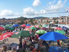 -青岛沙子口国家中心渔港